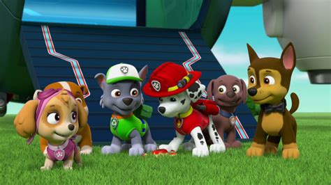 paw patrol episodes